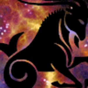 Meet your Posher, Elisha